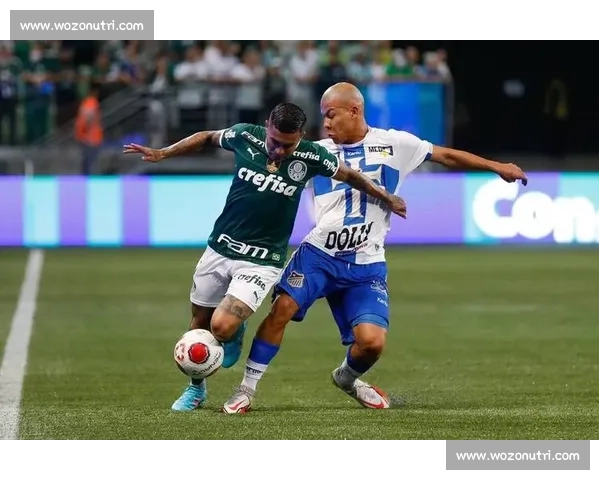 博塔弗戈主场迎战阿瓦伊南美联赛焦点对决前瞻实力走势与胜负悬念解析